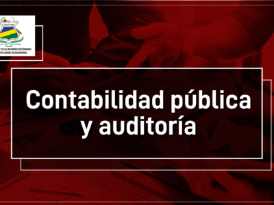CONTABILIDAD PÚBLICA Y AUDITORÍA
