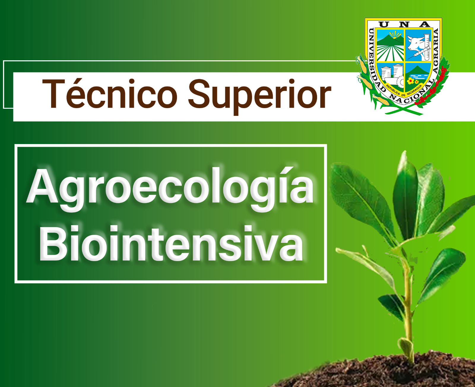 miniatura del curso
